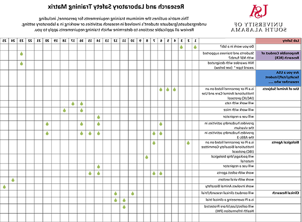 Research and Laboratory Safety Training Matrix thumbnail image